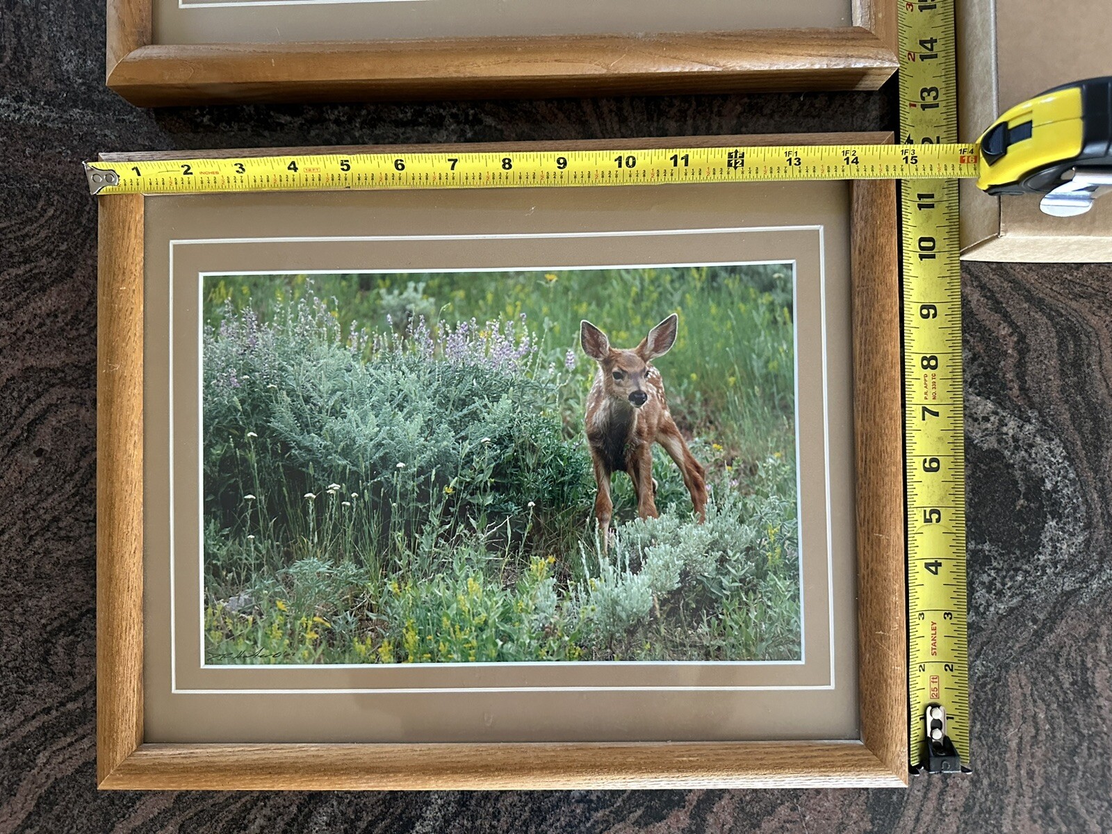 Framed Twin Mule Deer Fawn Wildlife Photography By J.R. Hunter (Signed)
