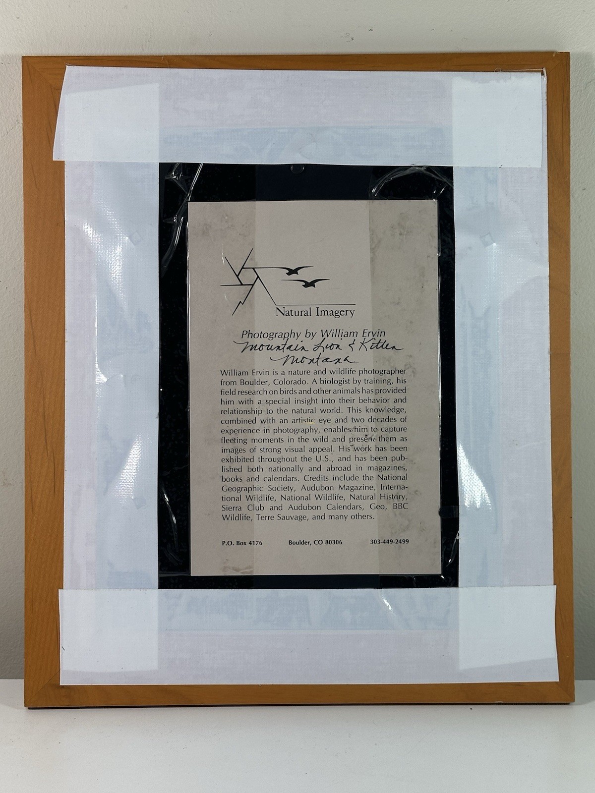 Natural Imagery Signed Photograh William Ervin A Mountain Lion and Kitten Framed