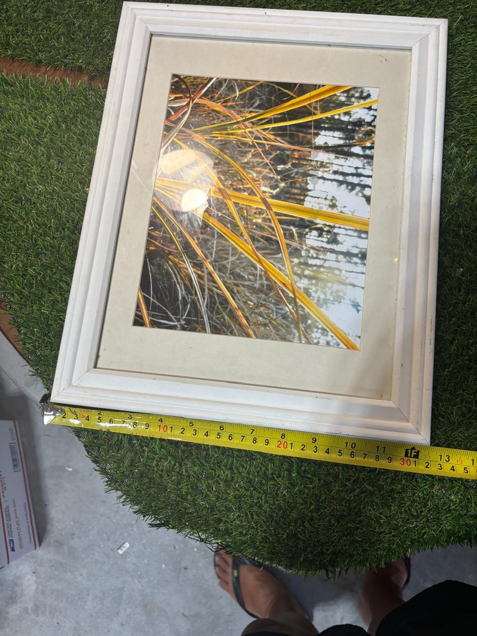 Michaels White Framed Nature Photography 11×14 Gold Grass Forest Wall Art