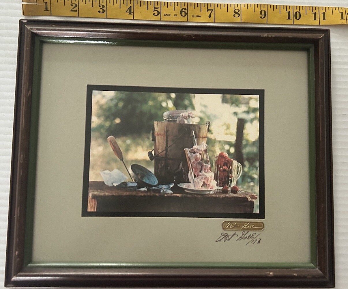 Art Gore Colorado Photographer Framed Artwork Strawberry Ice Cream Signed ‘73