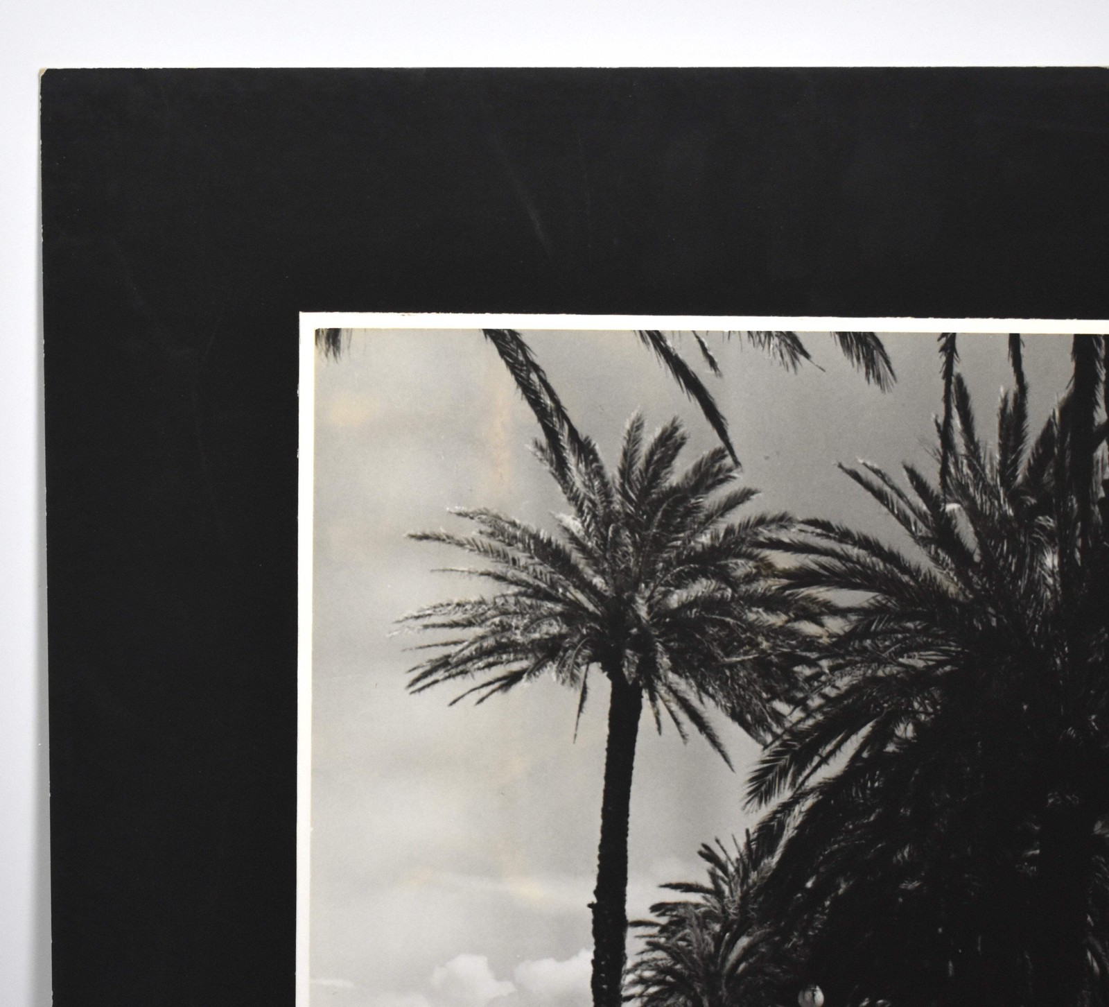 Vintage James W. Howlett Black and White Photograph, ‘Morrocan Palms’