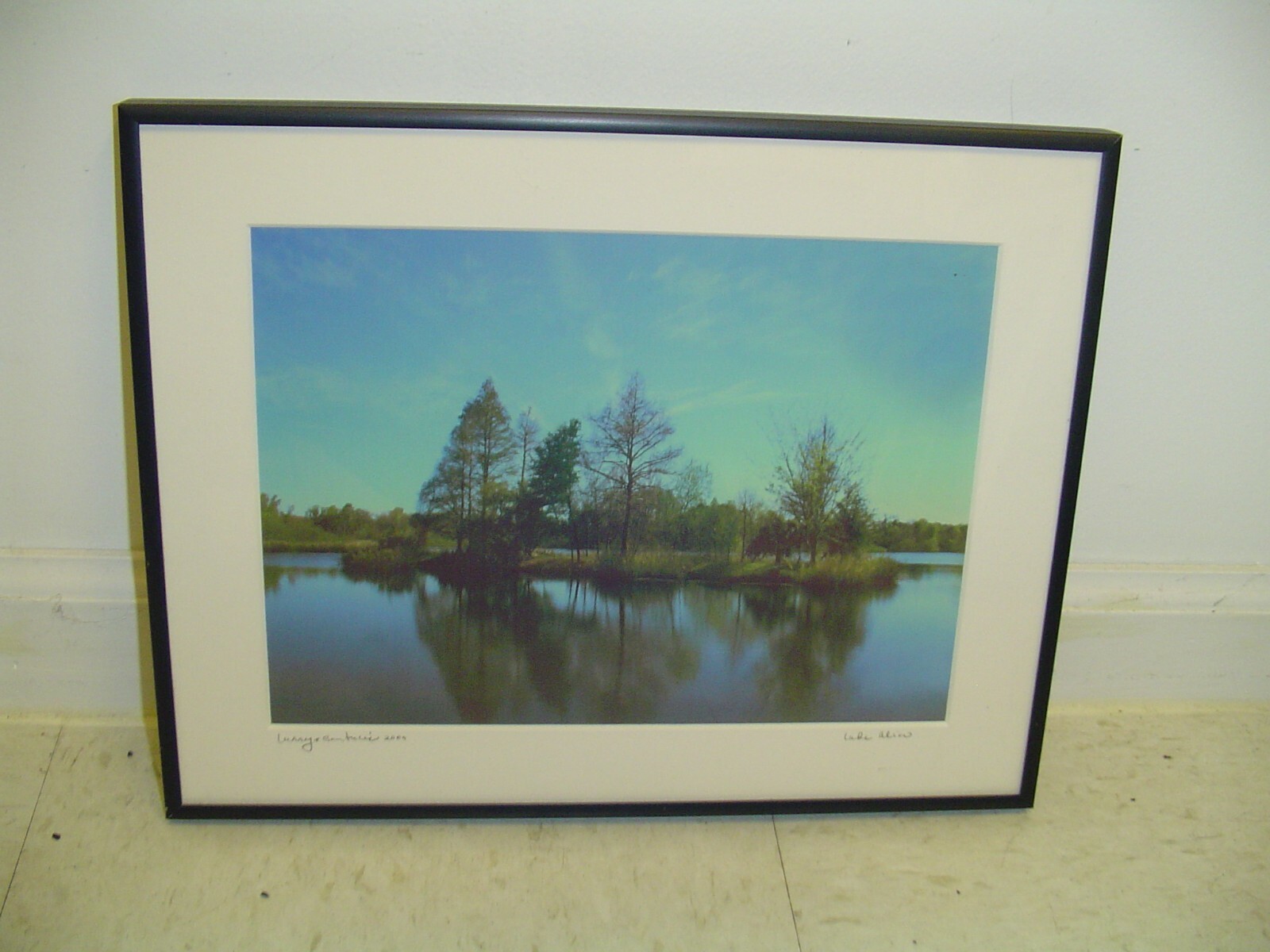 ART Photography “Lake Alice” lake scene, trees by L. Santucci Frames 11x14in
