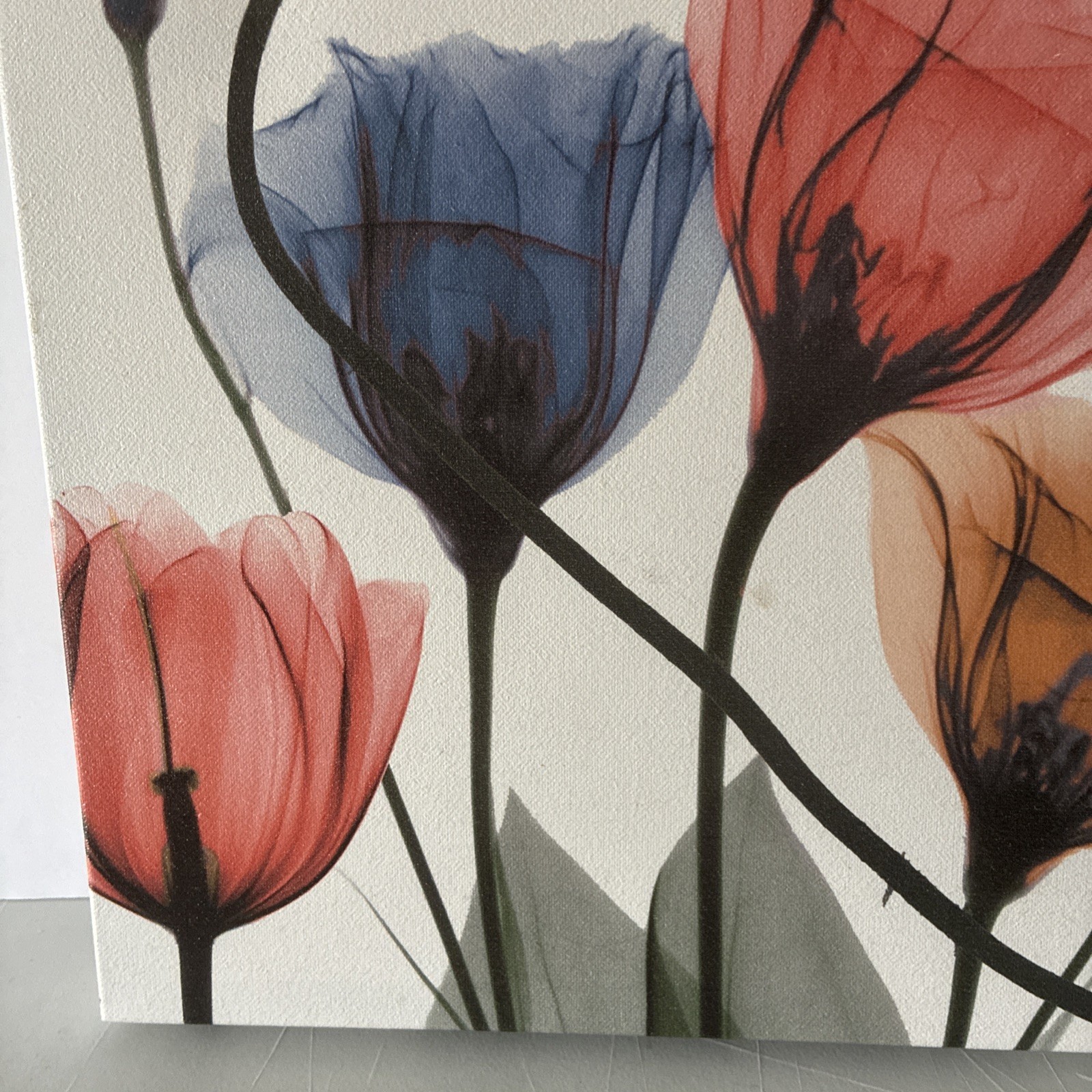 Albert Koetsier 19 1/2 x 15 1/2 Radiographic On Unframed Canvas Flowers Images