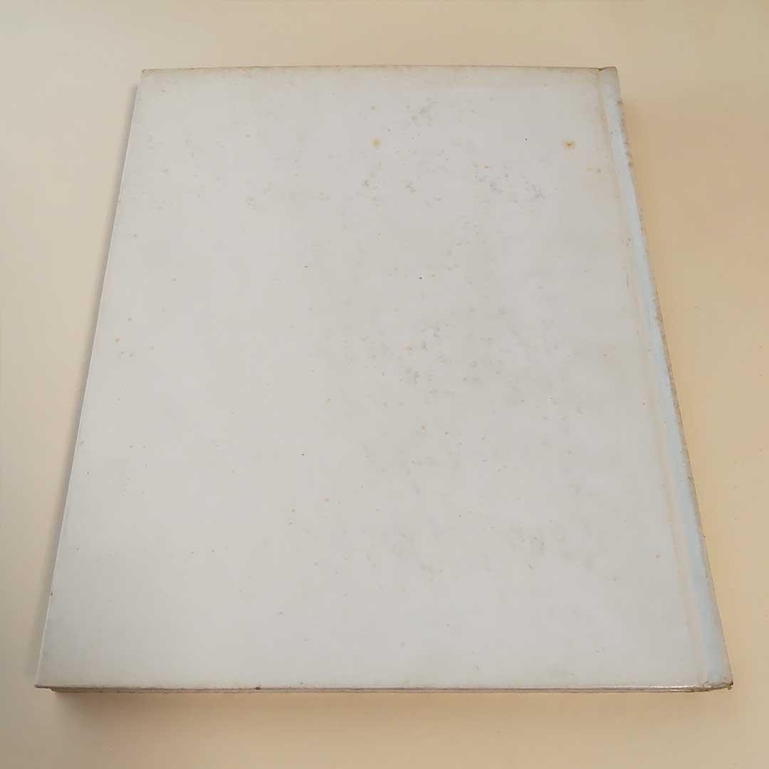 RARE 1st Edition Masahisa Fukase Yugi Homo Ludence 1971 Photo Book Japan