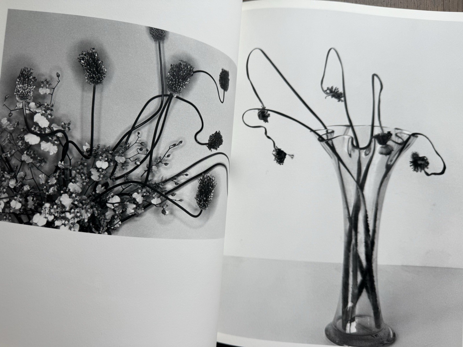 🎈SIGNED w Drawing! Nobuyoshi Araki – HANA-JINSEI, 2002 Japan Limited Ed, Unique