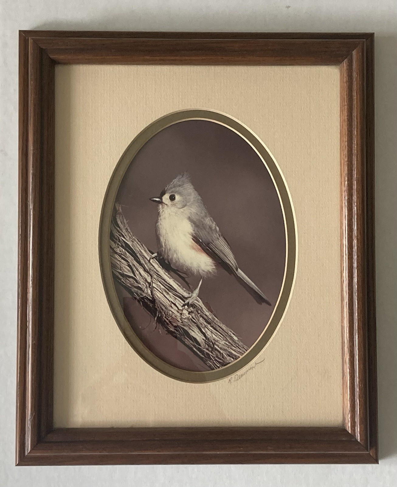 Rick Denomme Bird Photography Set of 4 Framed Cardinal Chickadee Titmouse Signed