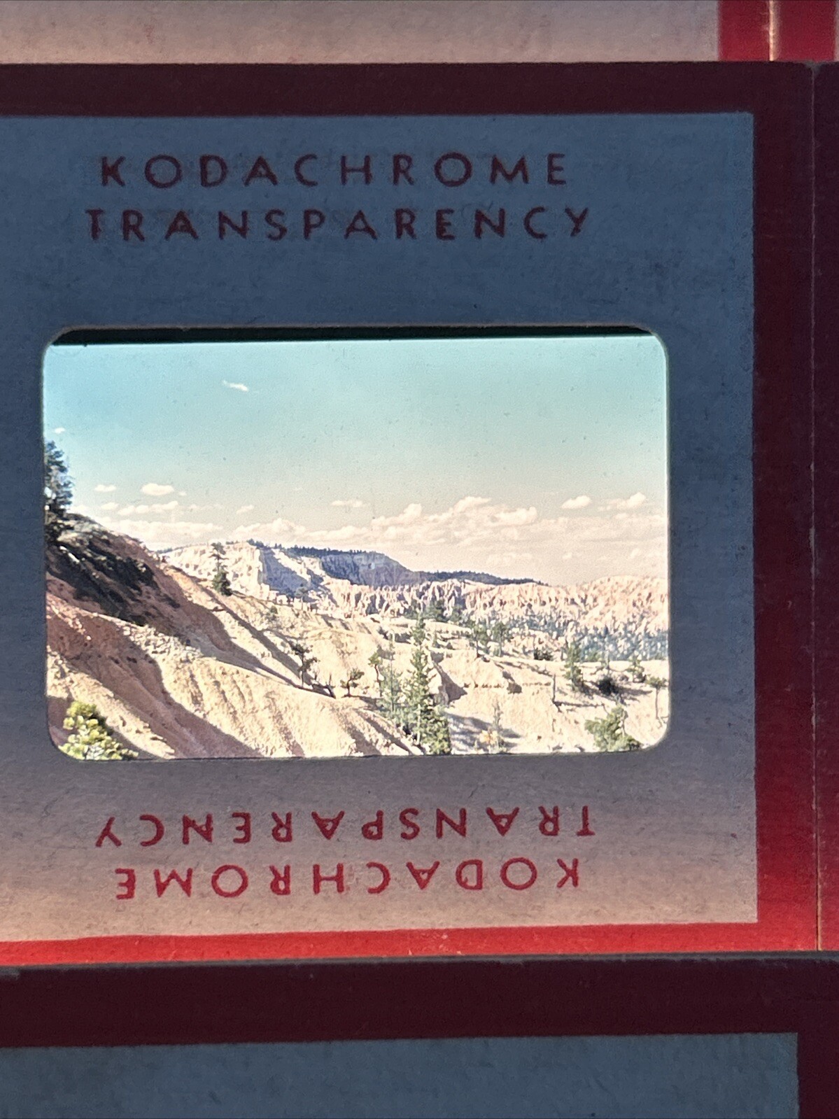 Kodachrome Red Border Lot Of 40 1950’s Camping Trip Flowers 35mm Color Slides