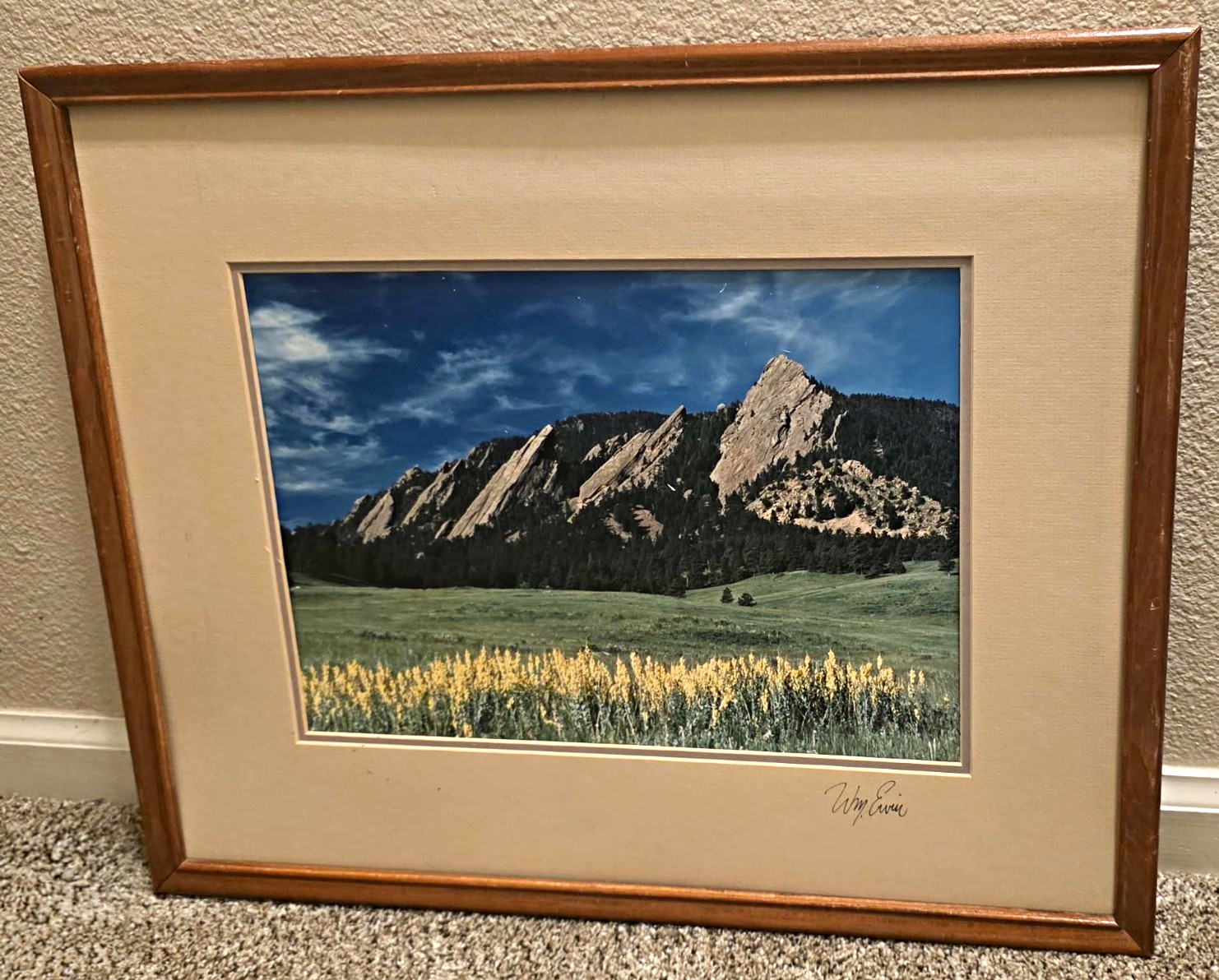 William Ervin THE FLATIRONS—SPRING AT LAST Signed Matted Framed Photo 20×16