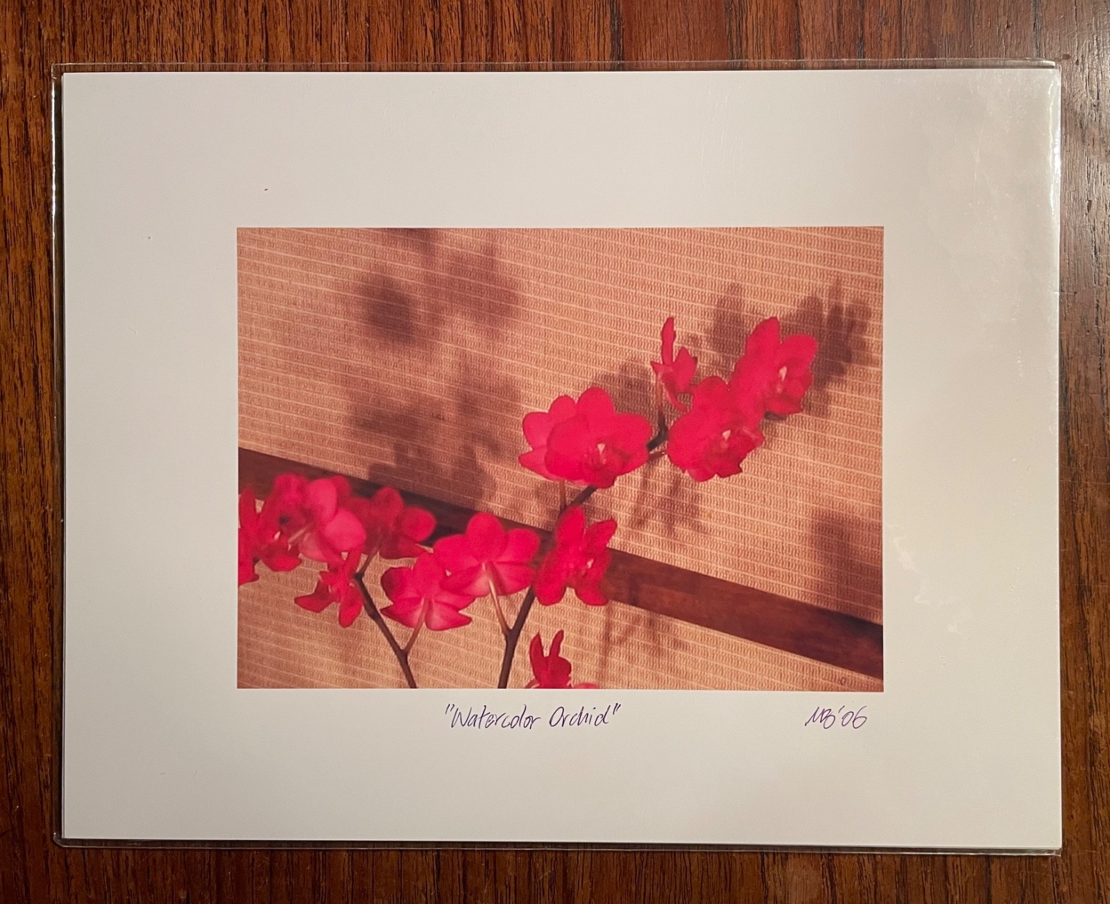 Original photographic print “Watercolor Orchid” by Michael Blumenstock