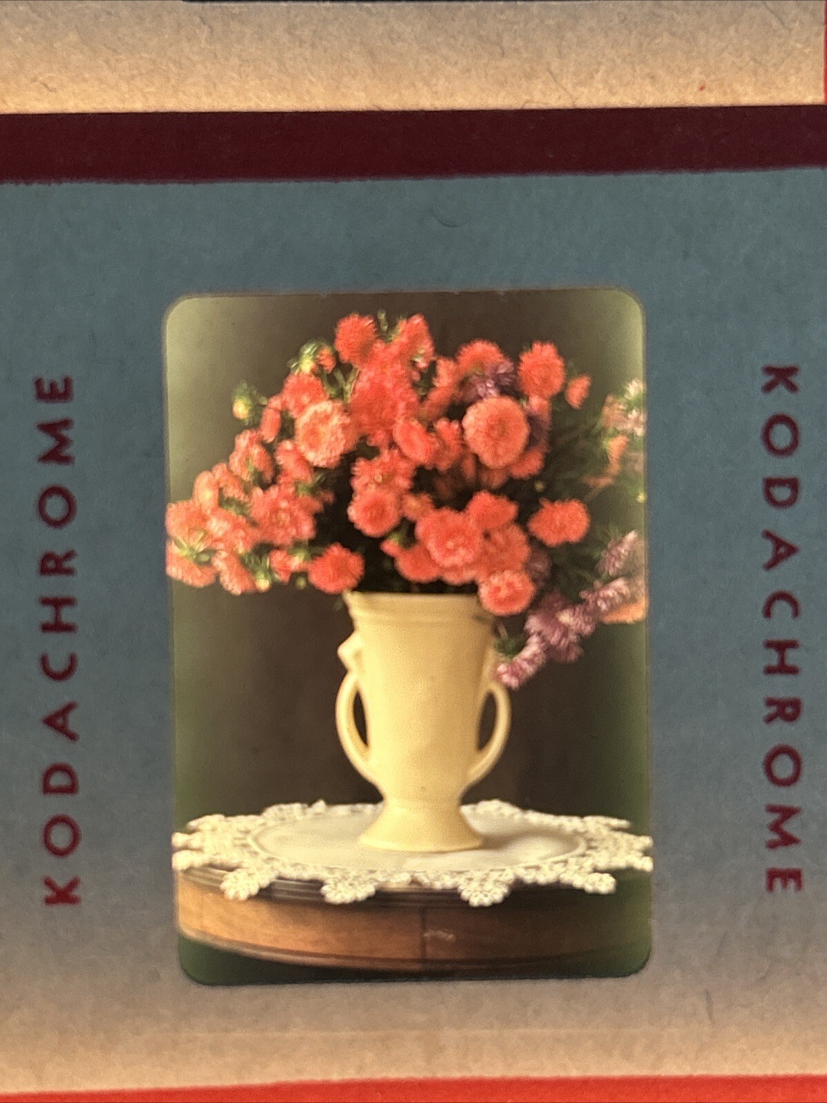 Kodachrome Red Border Lot Of 40 1950’s Camping Trip Flowers 35mm Color Slides