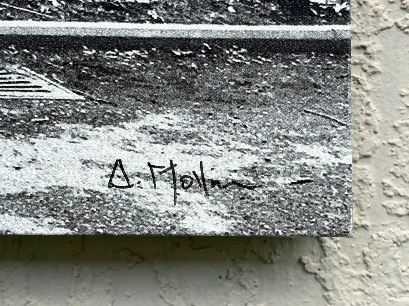 Albert Mollinea “Love is Natural” Fine Art Photo 2/10 — Central Park 2016