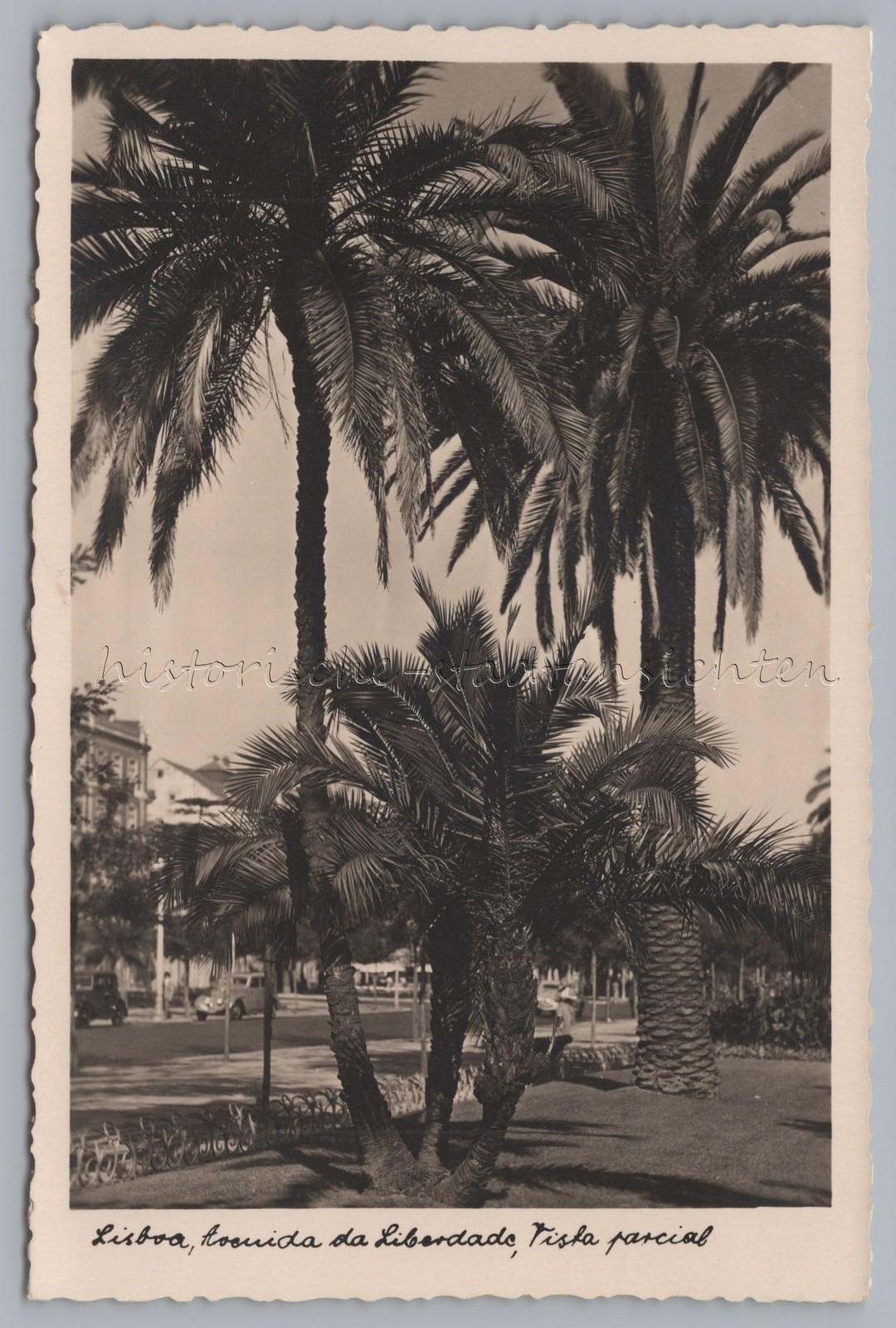 Lisbon Portugal – Avenida da Liberdade – Old Photo Postcard