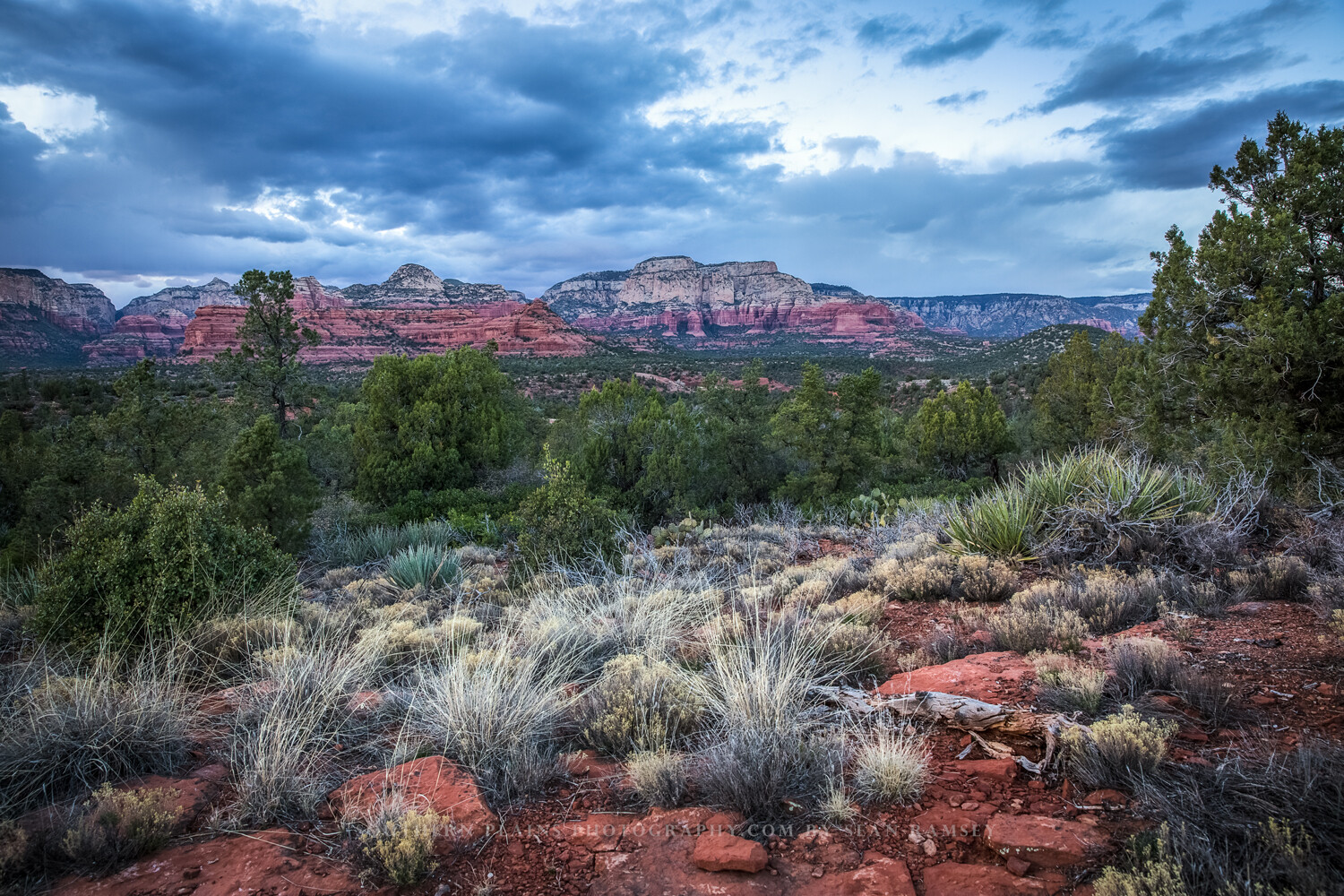 Photography Print of Red Rocks and Desert Landscape Near Sedona Arizona