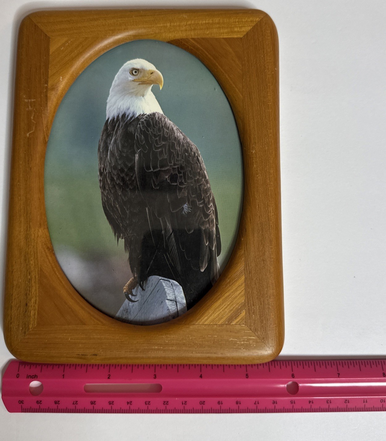 Wood Picture Frame 8×6 -Oval Opening- Bald Eagle Photo Rustic Decor