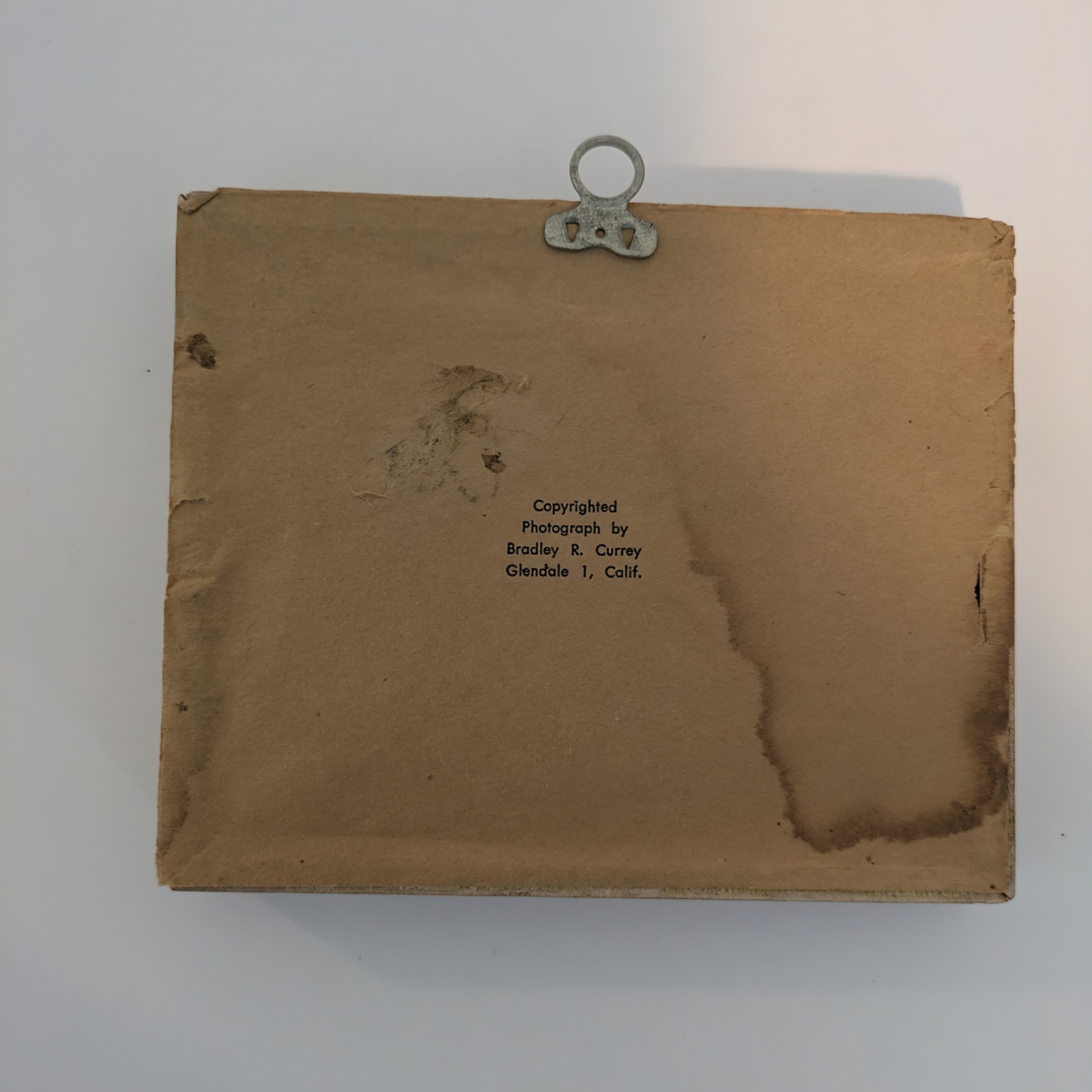 Bradley R Currey Cats Pictures Lot Of 6 White Cats 5.5″ X 4.5″ Piano Books Chair