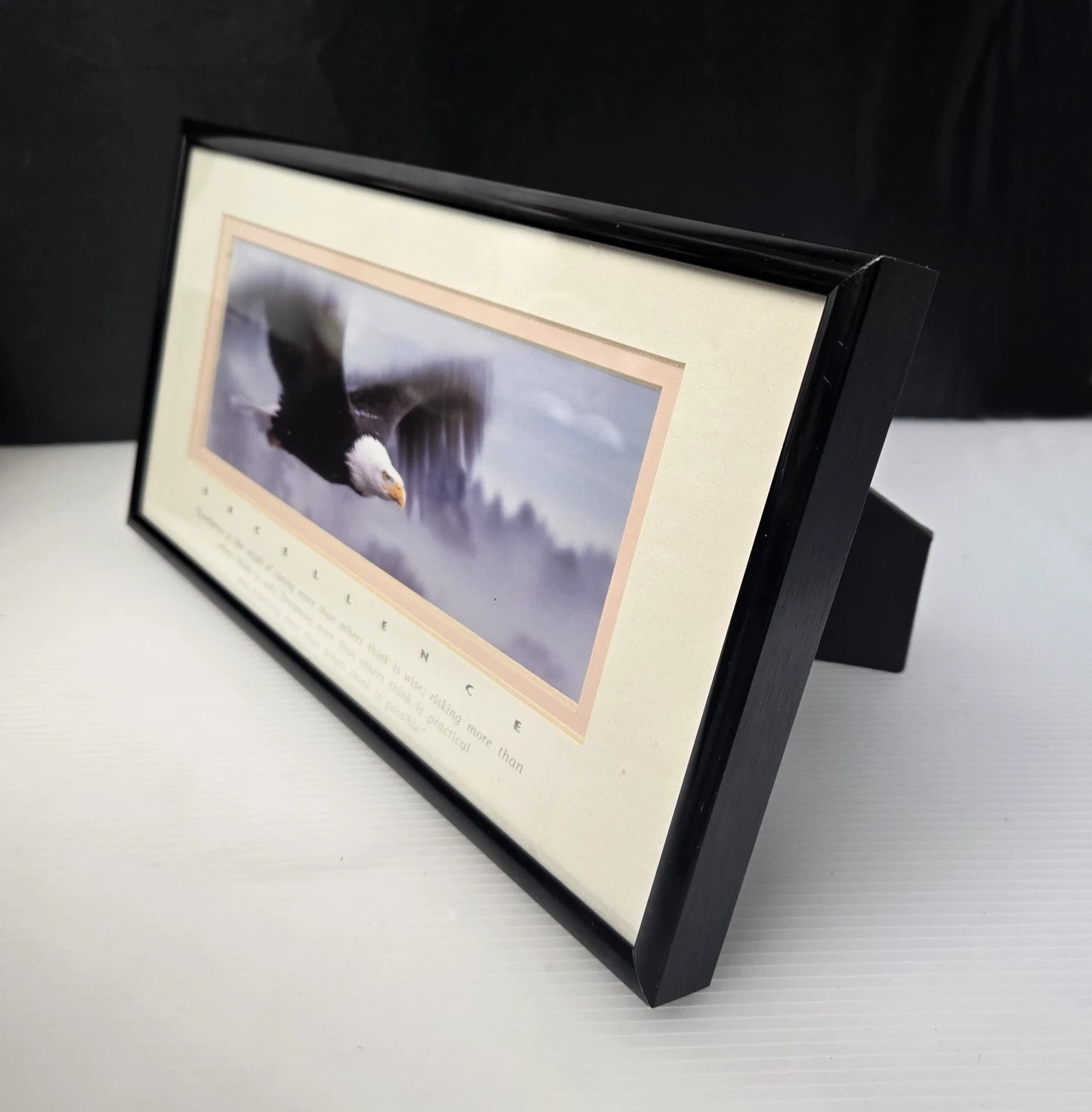 Excellence King Of The Skies Eagle Photo Art Framed Frank Oberle Photography