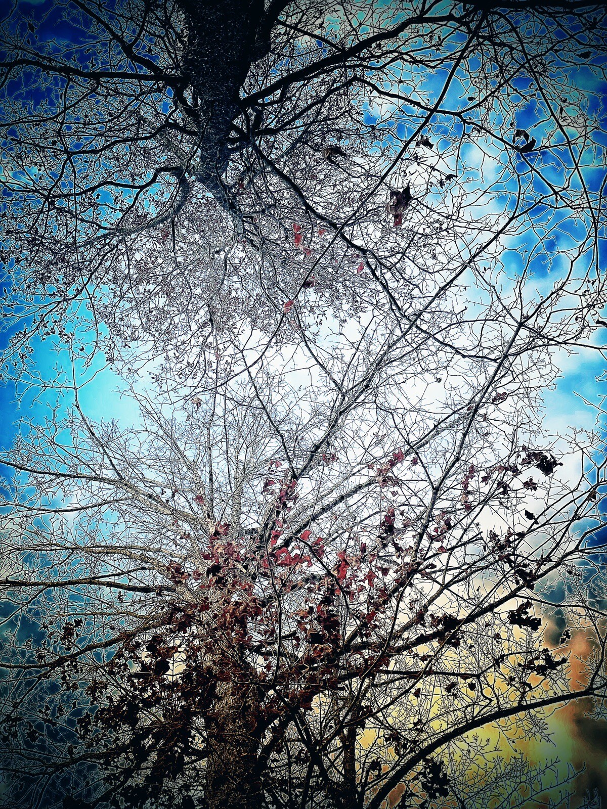 framed original artwork Photography