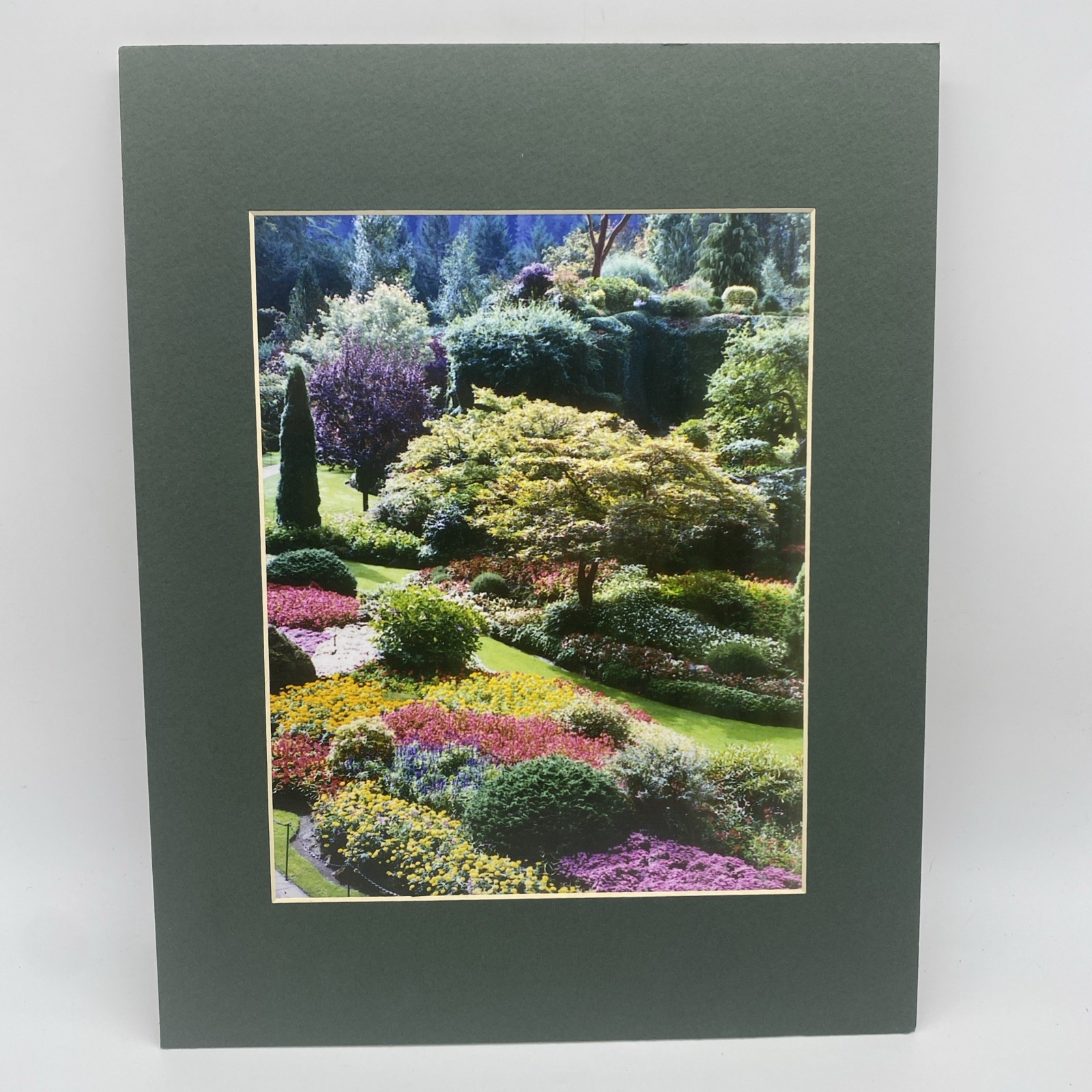 Matted Flower Garden Photo Print 11 X 14 Wall Art Gallery Decor