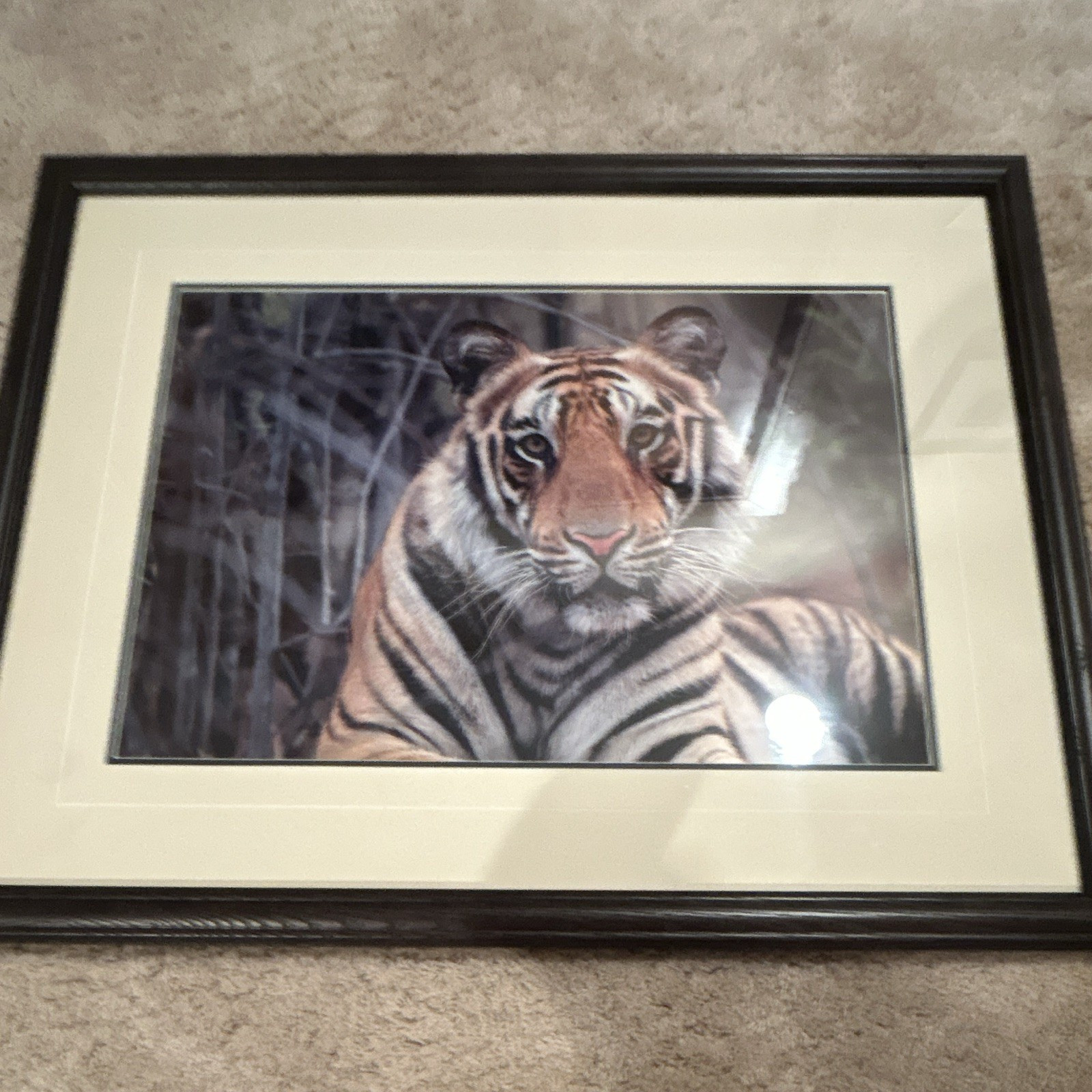 Thomas Mangelsen “Survivor- Bengal Tiger” signed framed matted 28×22 color photo