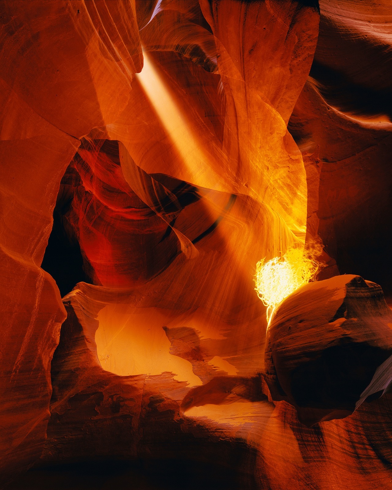 The Burning Bush – Rodney Lough Jr. – Limited Print Edition #300/500