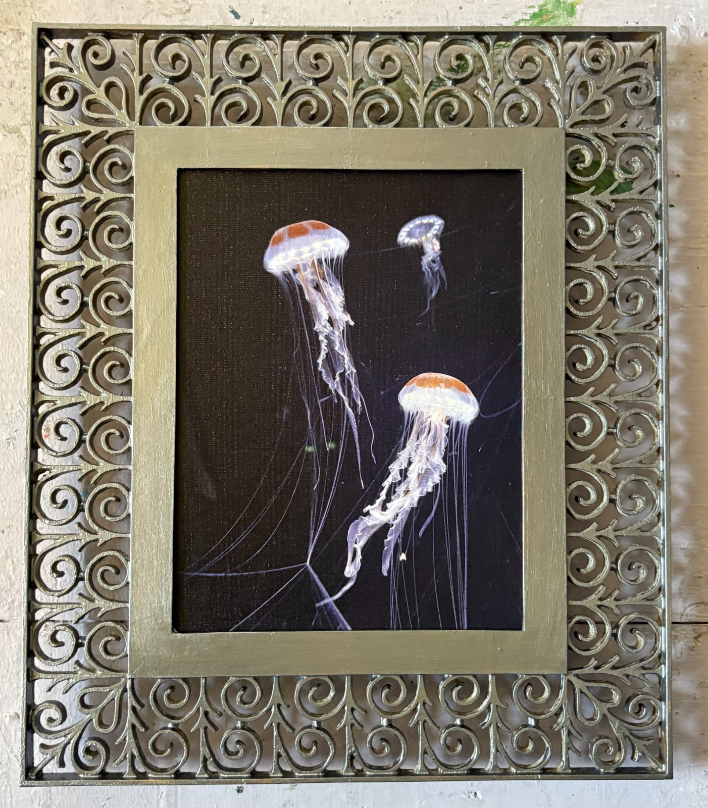 Jelly Fish, Original Photography, Canvas, Platinum Metal Framed