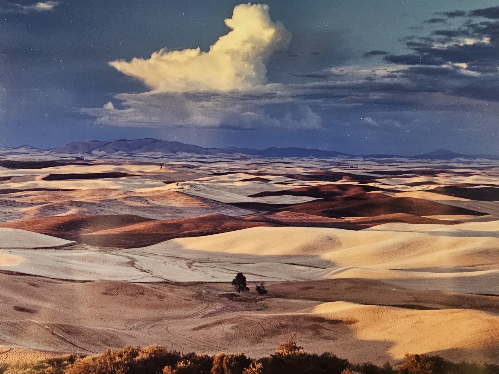 ART – Original Signed John Clement 35mm Photograph 16×13 Framed Modern Landscape