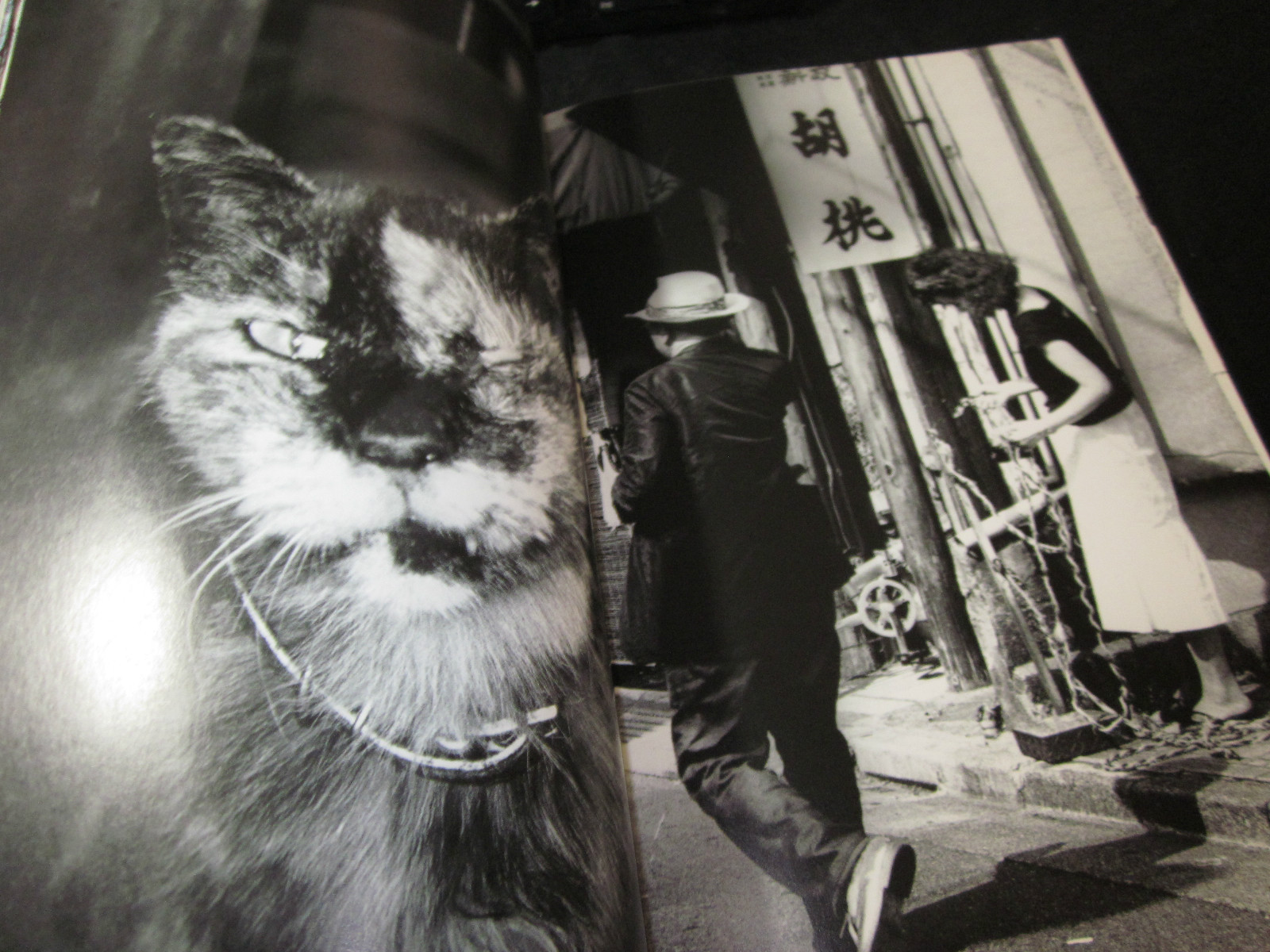 Daido MORIYAMA & Nobuyoshi Araki Photo Book ARAKI SHINJUKU MORIYAMA 2005 JAPAN