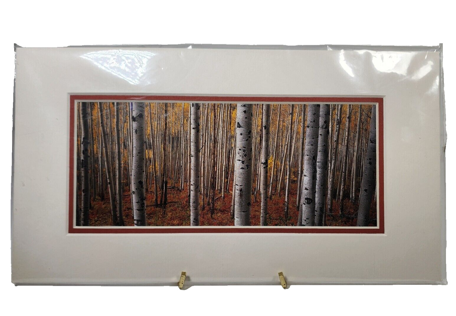 Gary Crandall Photography Aspen Army Print Fall Colors Trees Matted No Frame