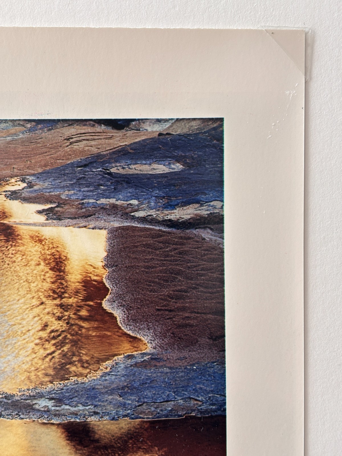 ELIOT PORTER “River edge at sunset, below Piute Rapids” (1962) Signed C-Print