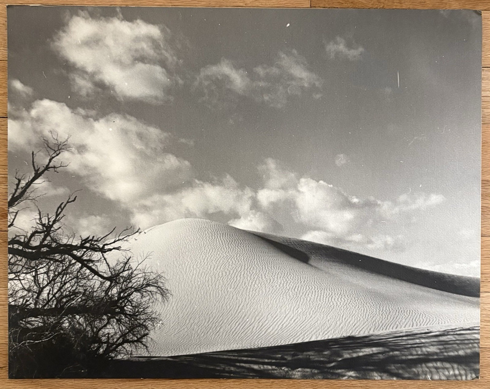FLOYD B. EVANS Desert Photographer Original Vintage Silver Photo California WPA
