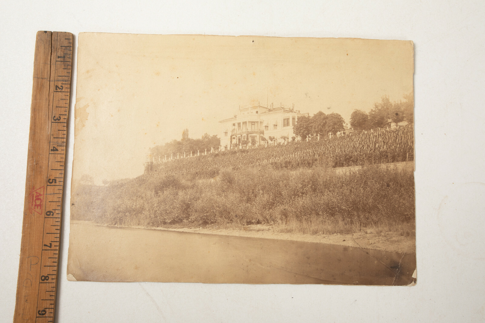 Photograph of Estate Coastal Dr. Frank LaFay Neubauer (N6R) Los Angeles Artist