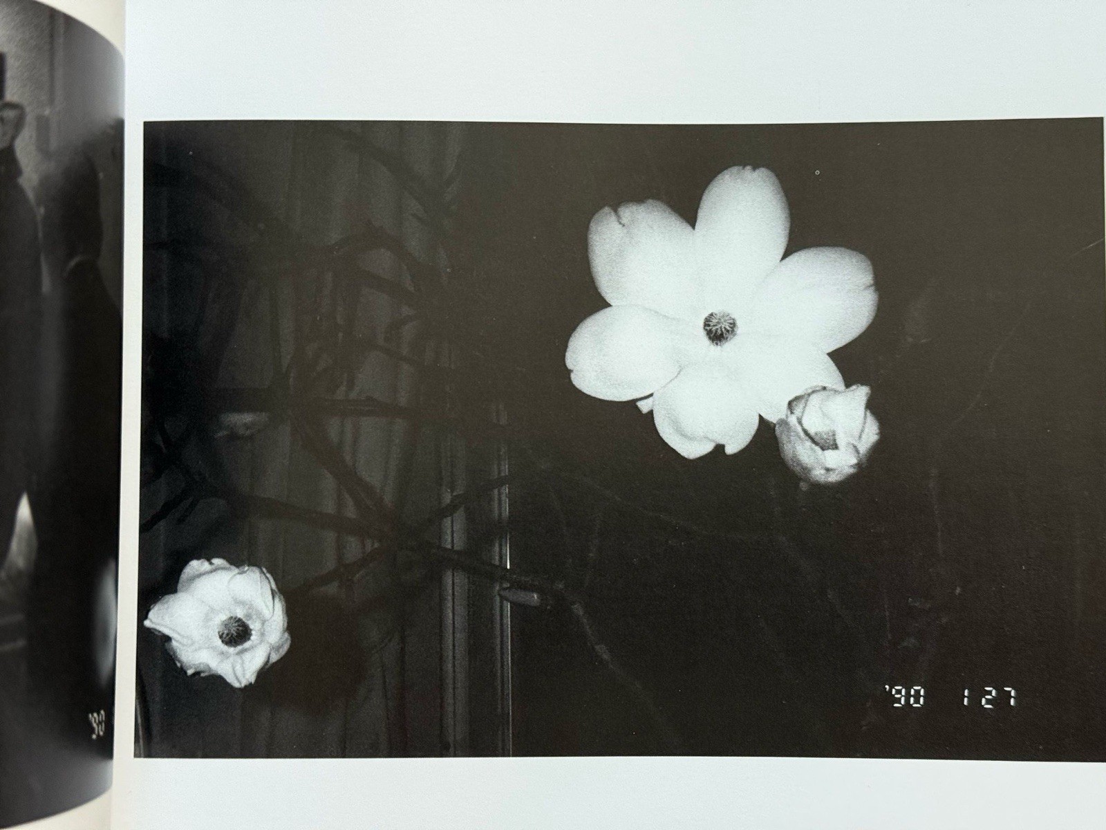 🎈Signed! UNIQUE! Nobuyoshi Araki – Sentimental Journey / Winter 1991, First Ed