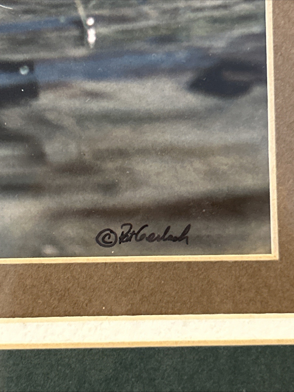 Framed 1983 Wood Duck Photography By Wildlife Photographer Pat Gerlach