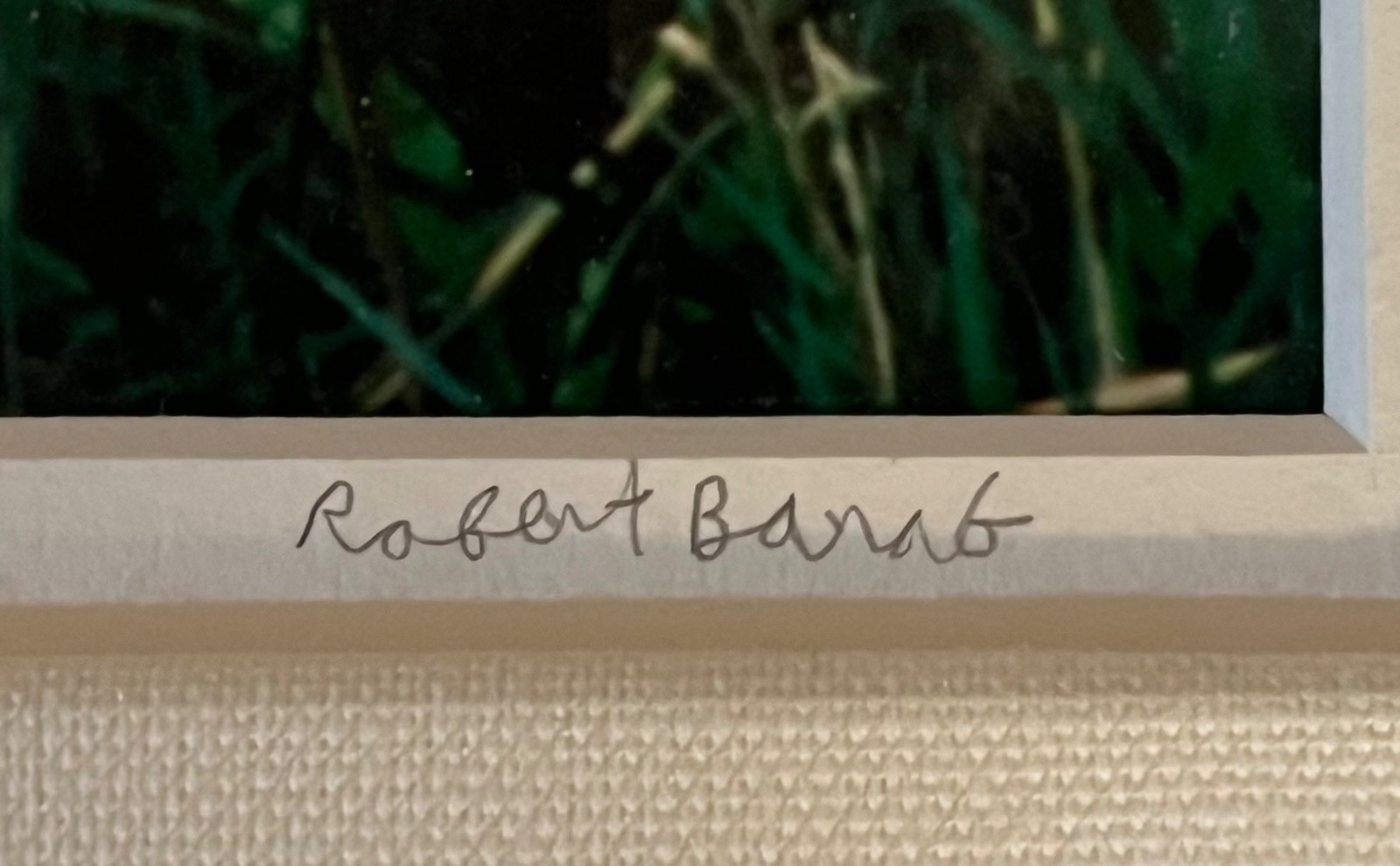 Original Signed Photograph Boats in Bali with Lily Pads by Robert Barab