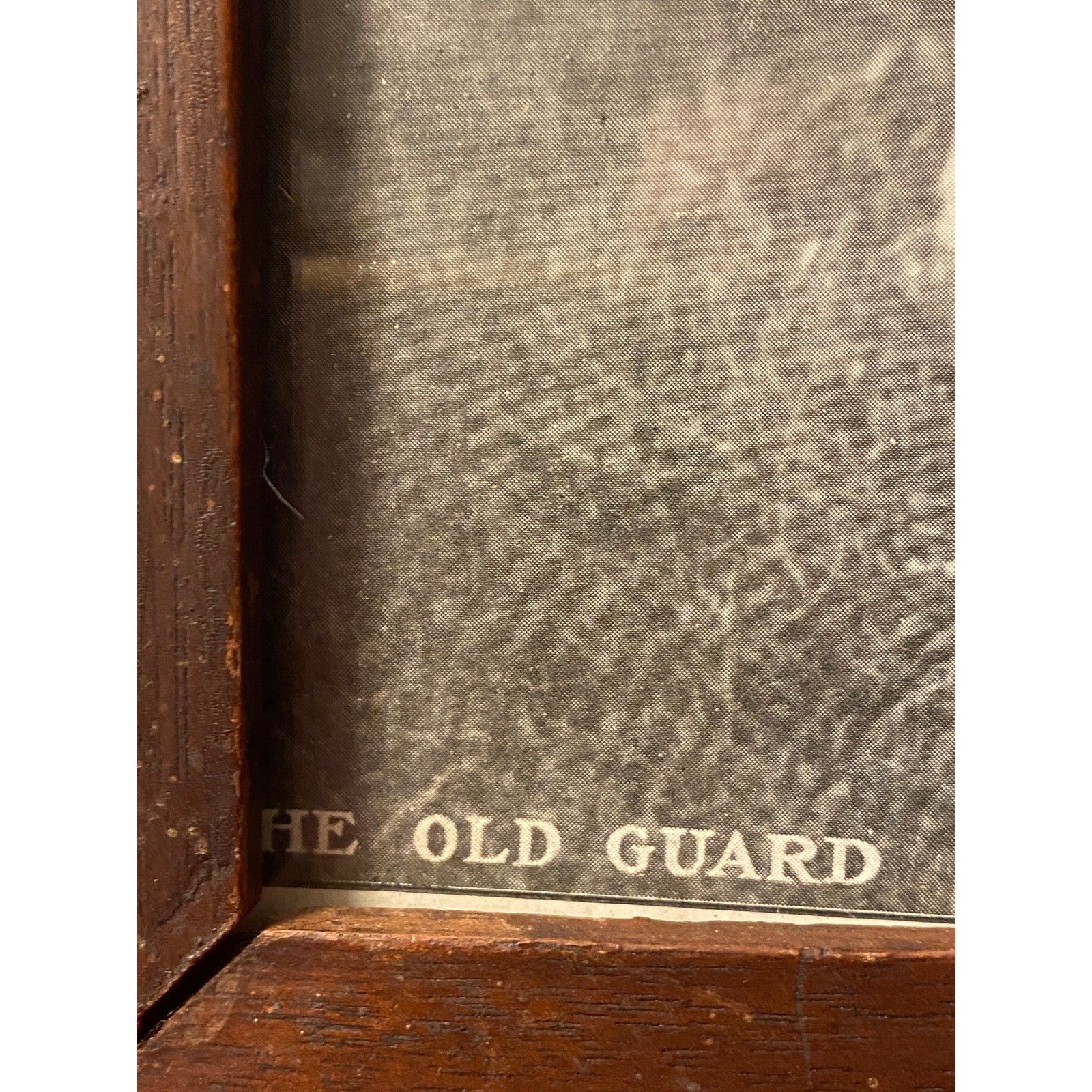 Antique b/w photo late 1800s Girl & Dog “The Old Guard” heavy old wood frame EVC