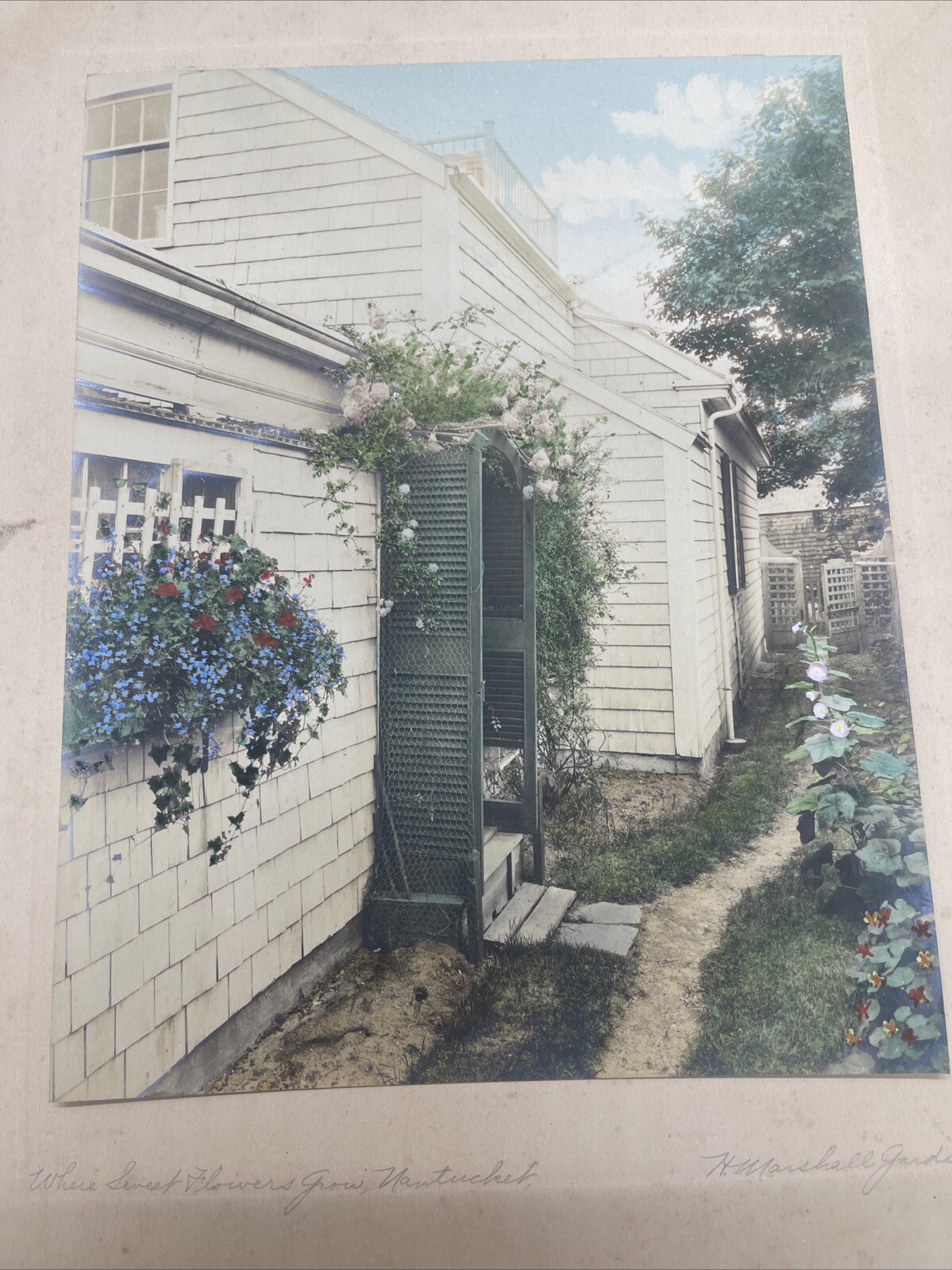 H. Marshall Gardiner Nantucket, MA Hand Colored Photo Print Signed Sweet Flower