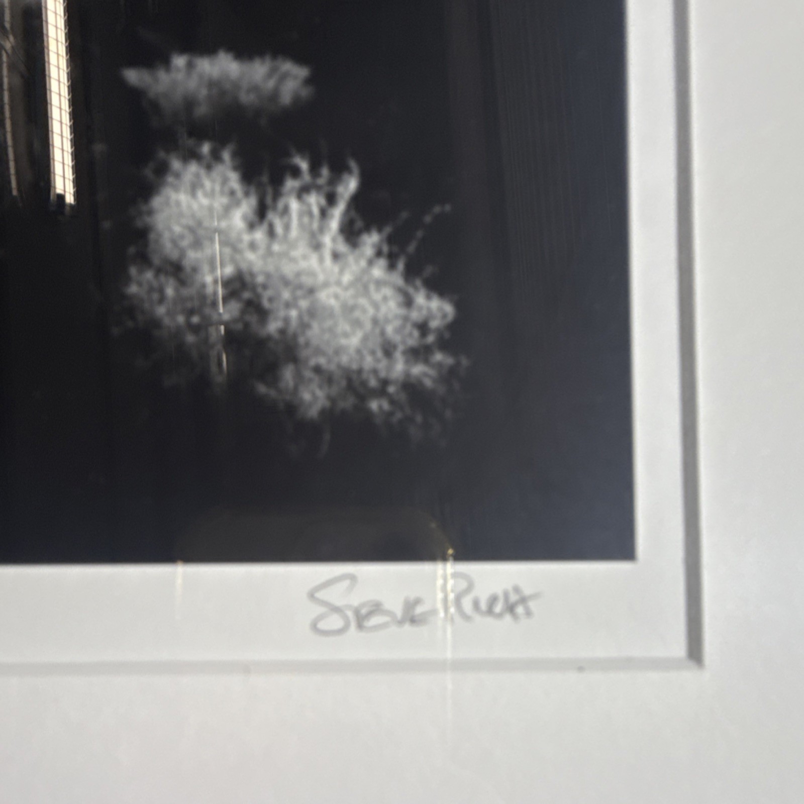 Steve Rude Signed Framed Black & White Landscape Photograph Cactus Desert Art