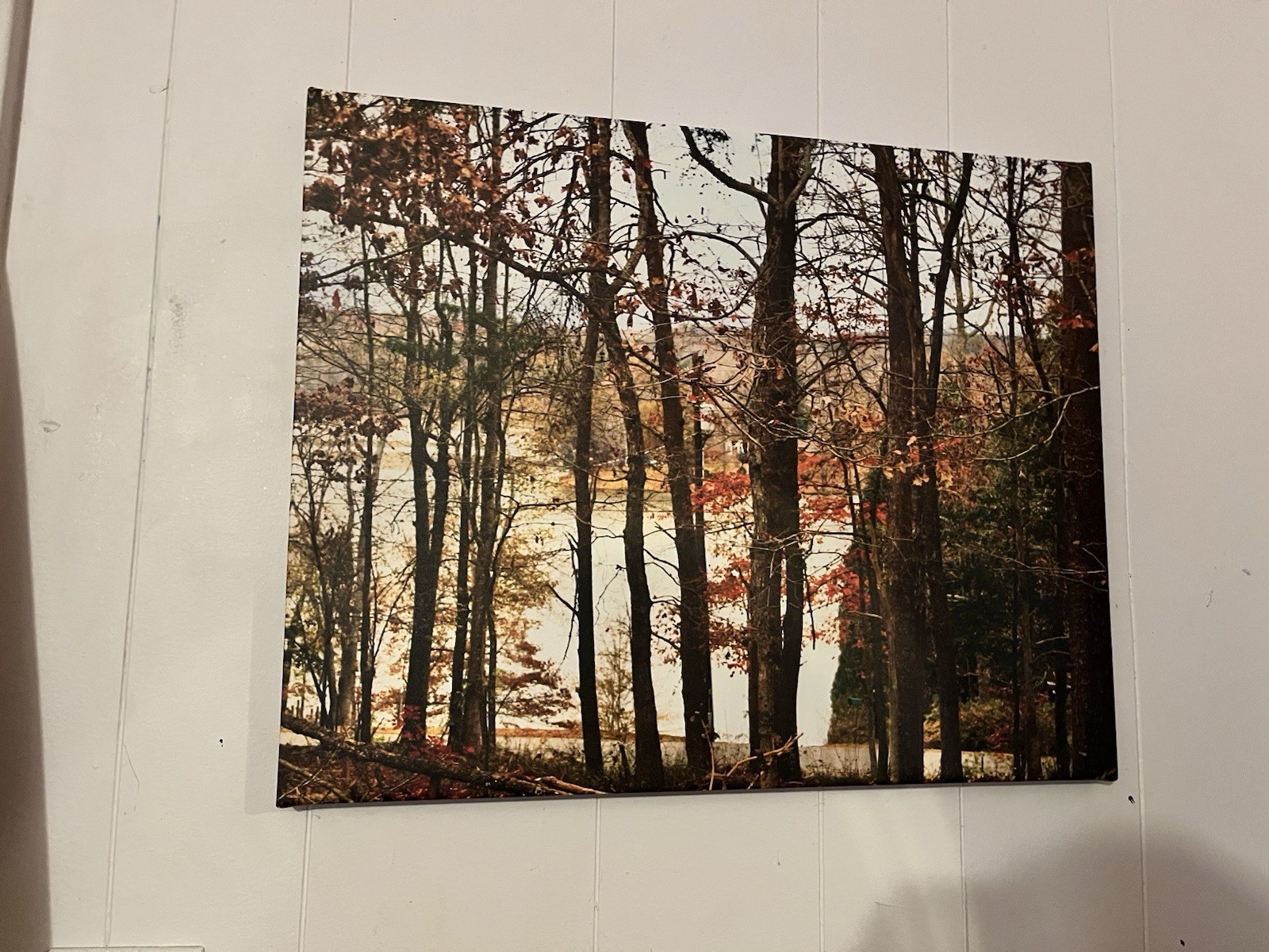 Autumn Lake Photo