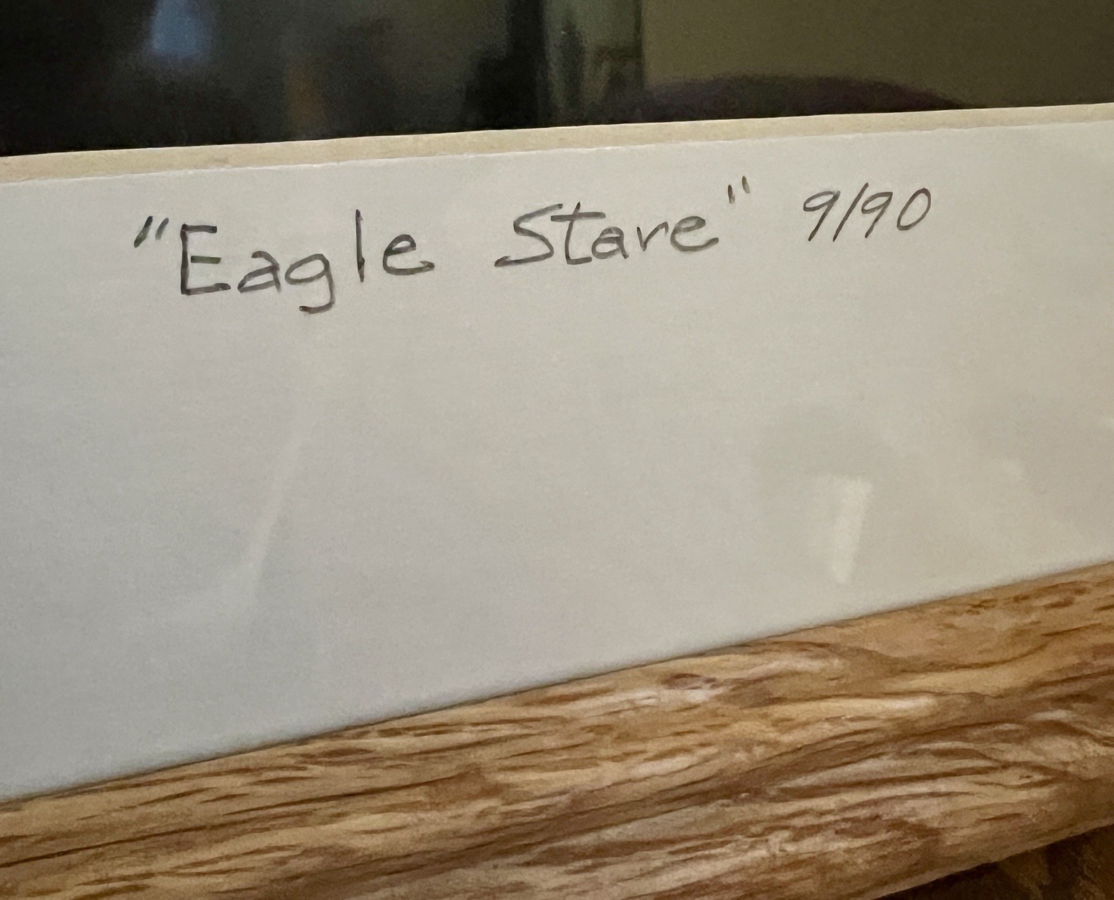 “Eagle Stare” Photograph 9/90 2001 framed under glass wall art Bald Eagle signed