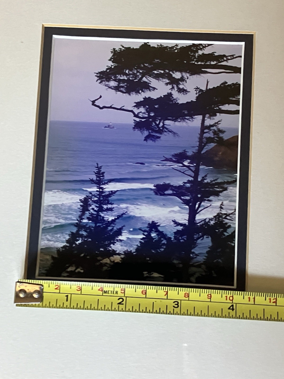 Oregon Coastal Photograph Ecola State Park Framed/ Matted Bill Coons 10 X 8 Inch