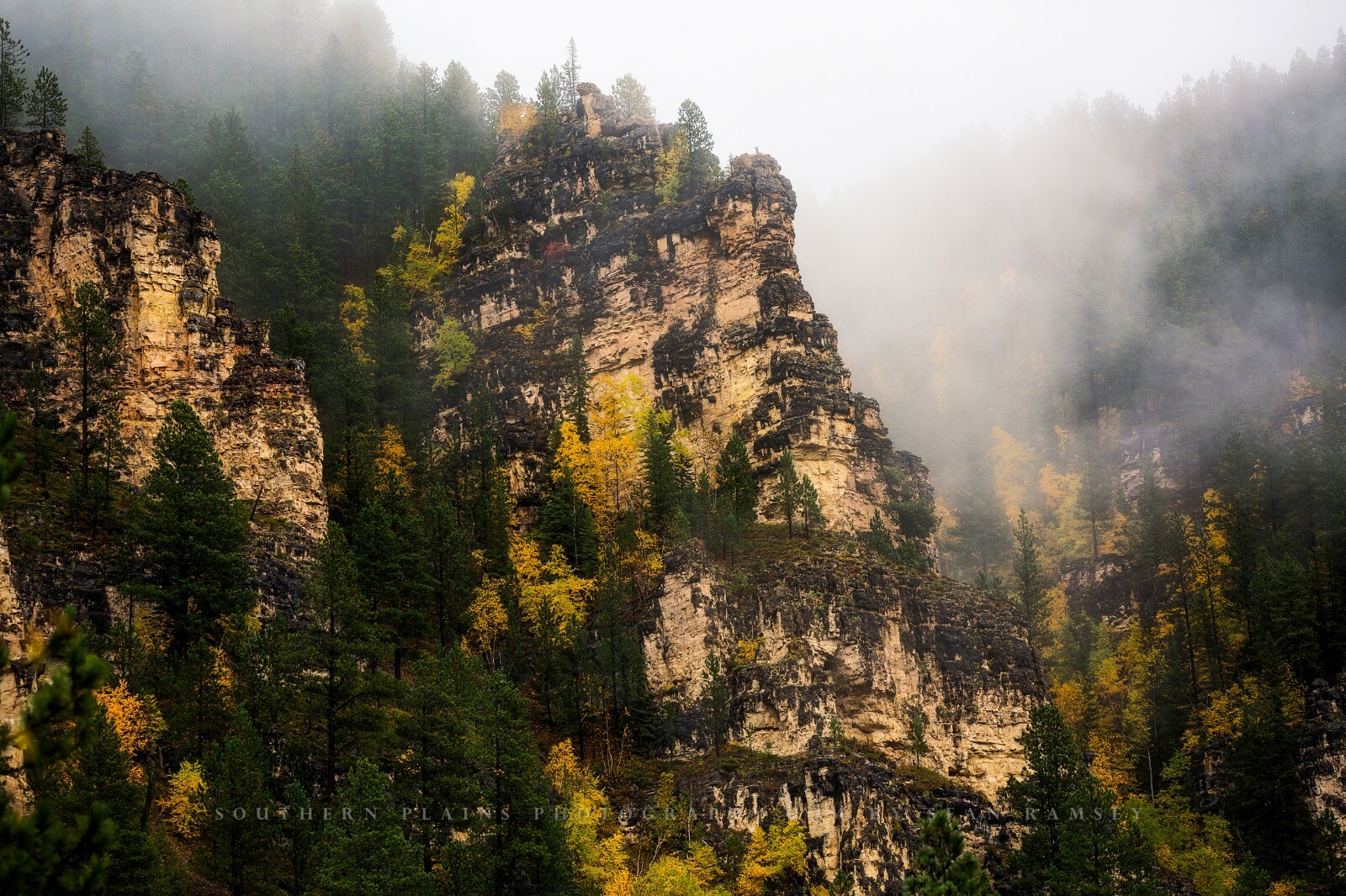 Black Hills Photography Print – Picture of Spearfish Canyon in South Dakota