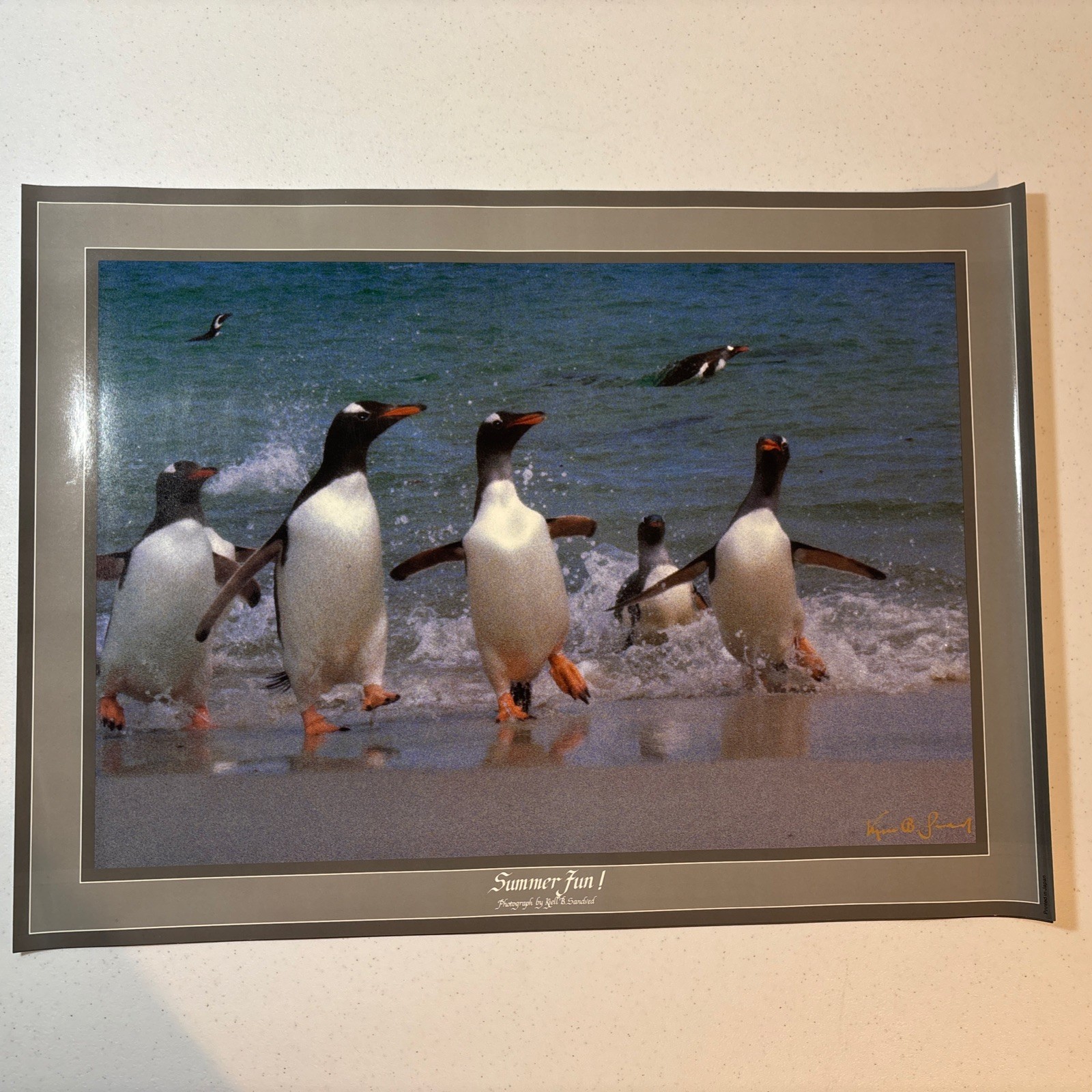 Lot Of 3 Kjell B Sandved Photograph Posters Bald Eagle Wild Horses Penguins