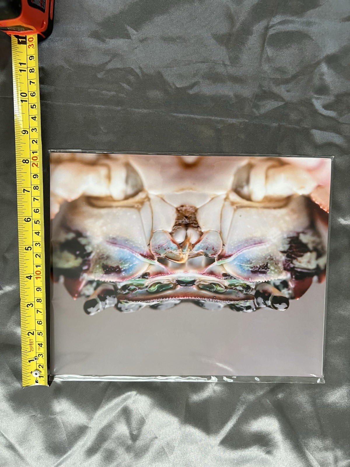 Girl In Water Photography Macro Crab Close-Up Color Photo Print 8×10 Landscape