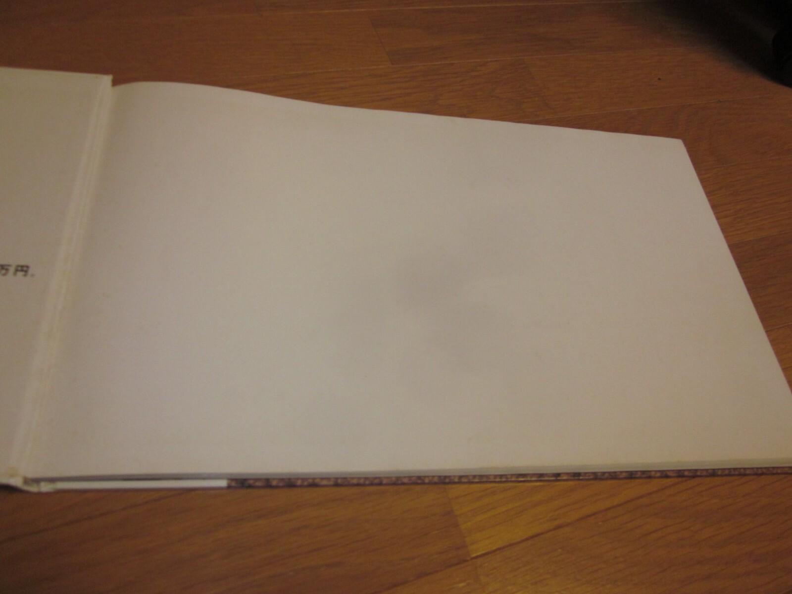 MASAFUMI SANAI Photo Book WAKARANAI I don’t know Japan 1998 1st. edition