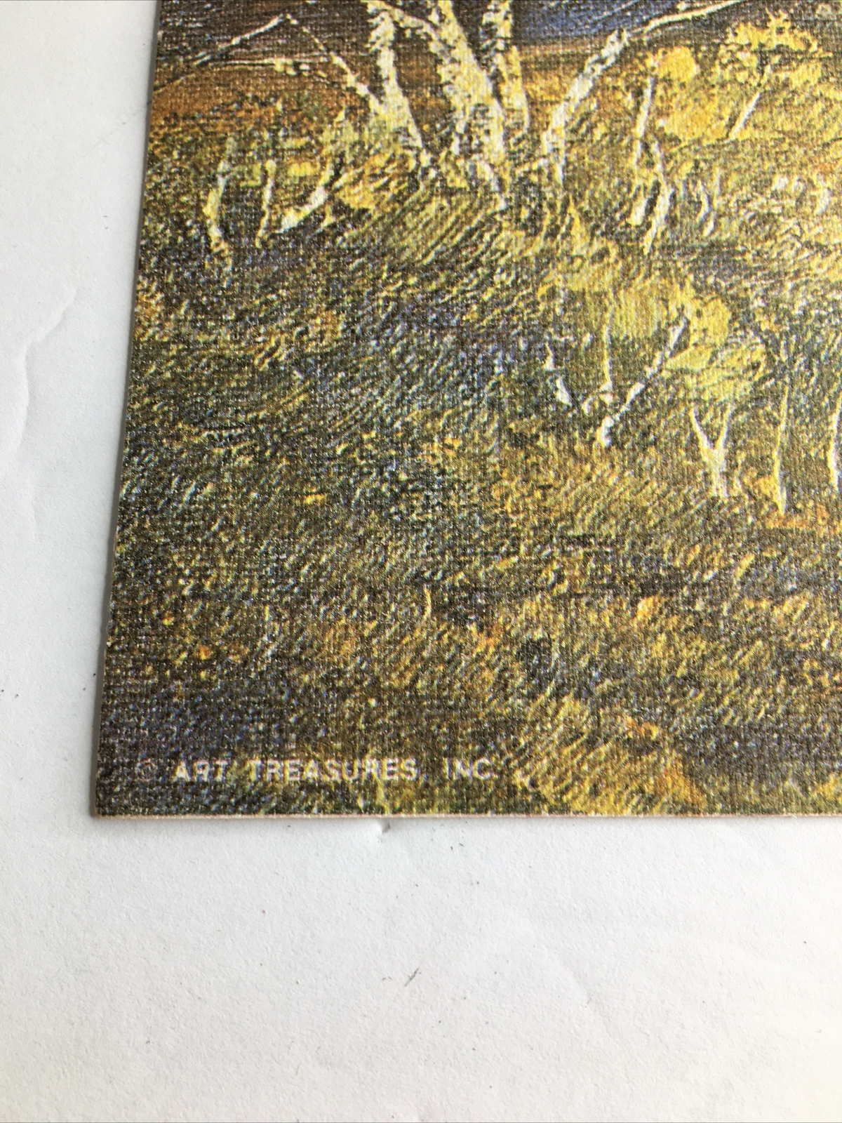 Vintage MCM Art Treasures Inc John Loo Nature Lithograph on Canvas Unframed G3