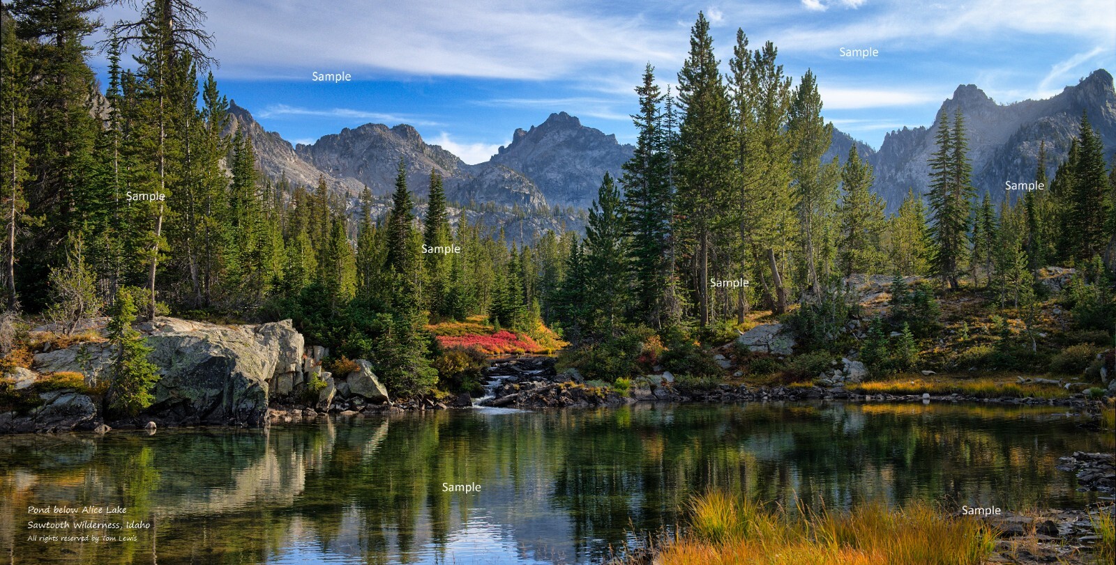 Pond Below Alice Lake Sawtooth Mountain Wilderness Idaho Photo Poster Print SM35
