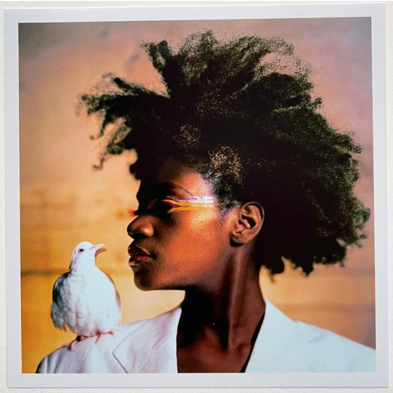 LYLE ASHTON HARRIS signed limited ed 2021 photograph 6×6 Magnum Square Aperture