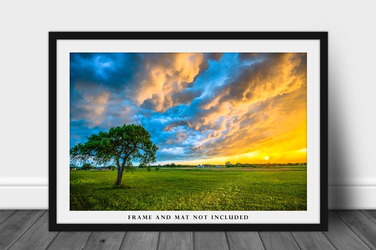 Storm Clouds Photography Print: Texas Sunset Sky Landscape Tree Weather Photo