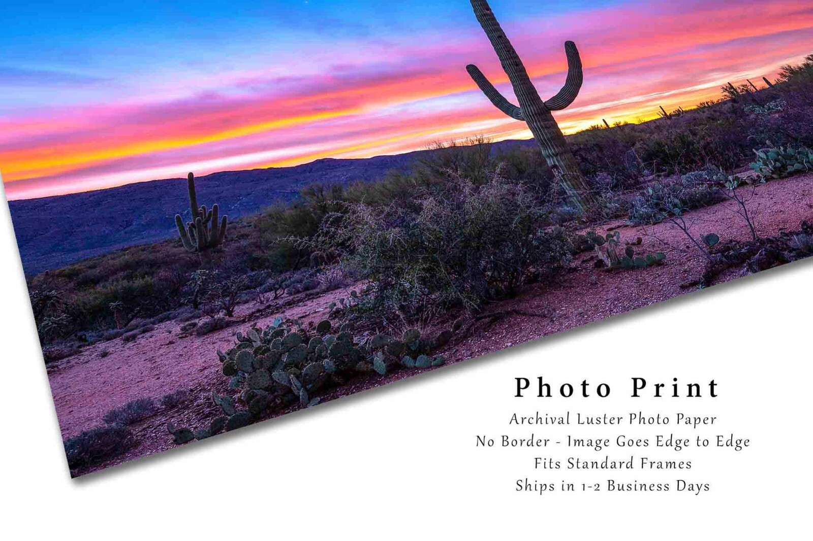 Saguaro Photography Print: Arizona Cactus Desert Southwest Landscape Photo