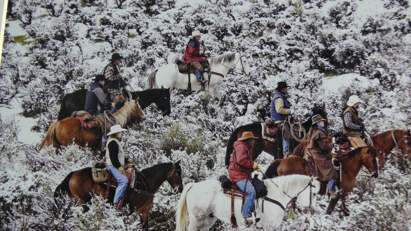 JUDY DEIST PHOTOGRAPH RIDERS IN SNOWY SAGE OPEN EDITION